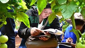 Agricultural Career