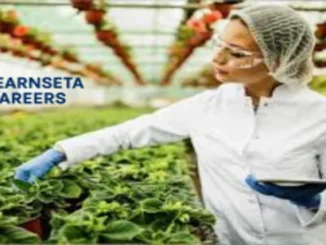 Food Processing Learnerships