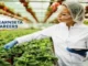 Food Processing Learnerships