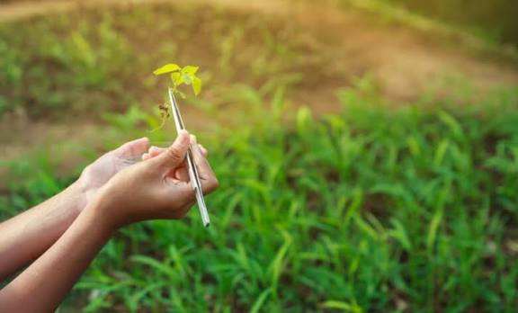 Agricultural Learnerships